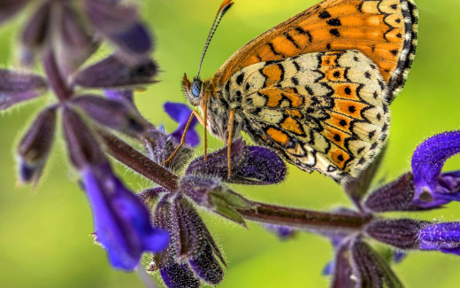 1753751 (a): :1920x1200